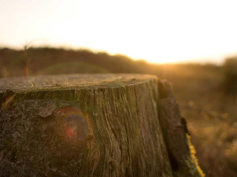 sudoku new features screenshot 3